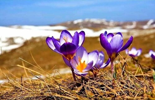 Өнөөдөр ичигсэд хөдөлж, амьд бие сэргэн ханш нээх өдөр